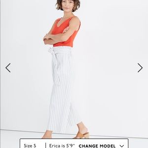 Madewell Huston pant in blue stripe